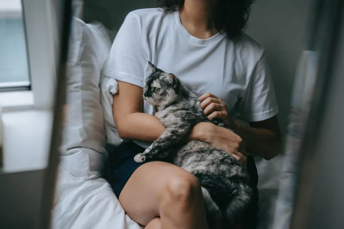 Saúde do gatinho – Mantendo-os ronronados
