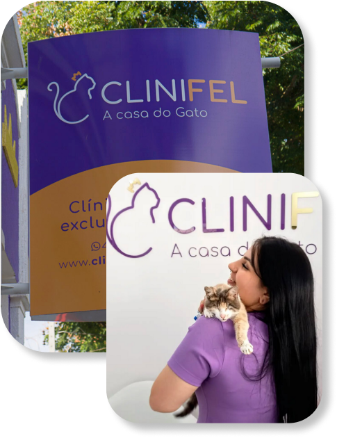 Sobre a Clinifel